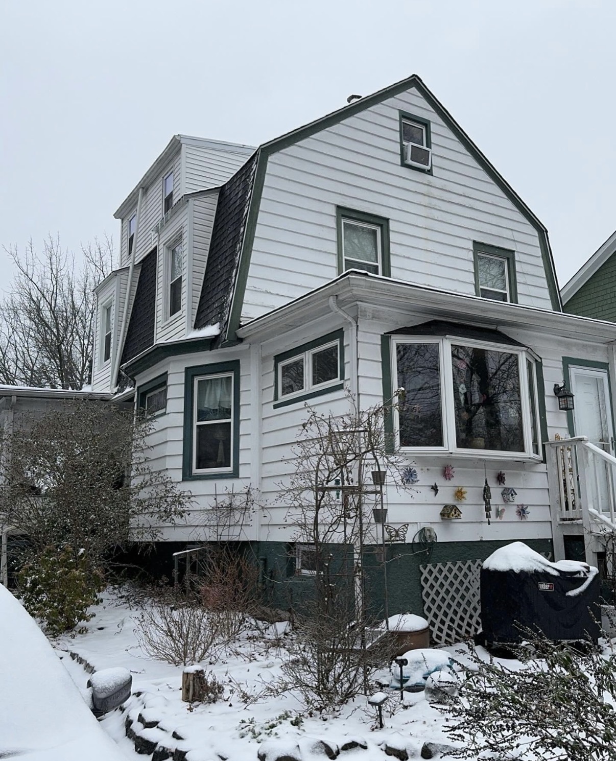 Before — winter side view